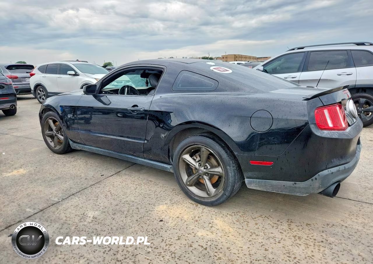 2010 Ford Mustang Gt VIN:1ZVBP8CH8A5141436 - 2