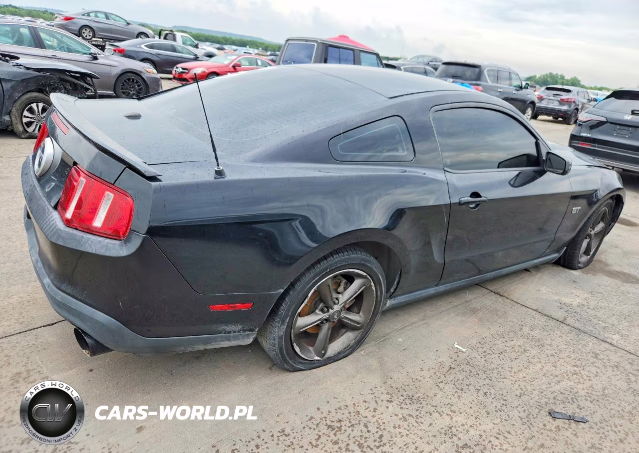 2010 Ford Mustang Gt VIN:1ZVBP8CH8A5141436 - 3