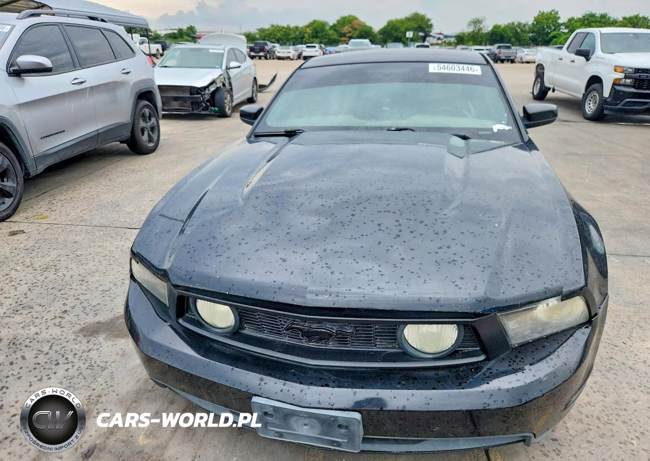 2010 Ford Mustang Gt VIN:1ZVBP8CH8A5141436 - 5