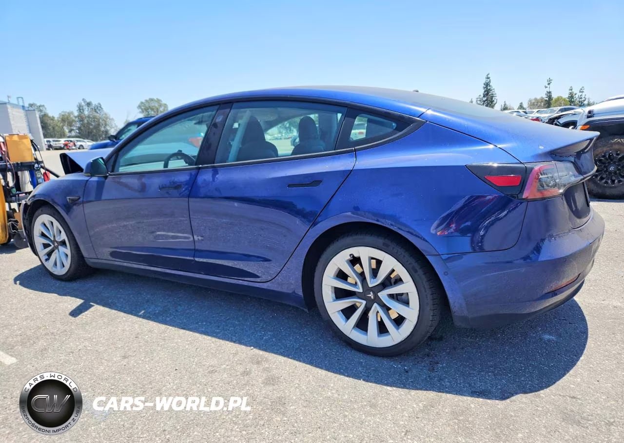 2021 Tesla Model 3 VIN:5YJ3E1EA8MF838516 - 2