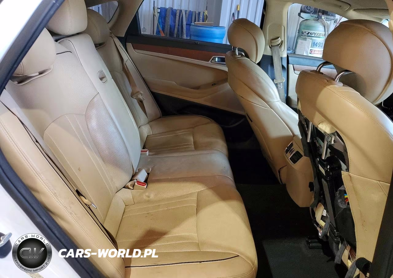 2015 Hyundai Genesis 3.8L VIN:KMHGN4JE4FU041746 - 10