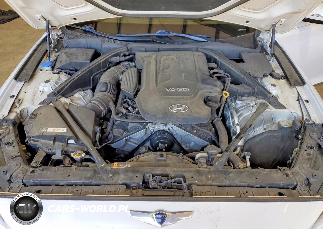 2015 Hyundai Genesis 3.8L VIN:KMHGN4JE4FU041746 - 11