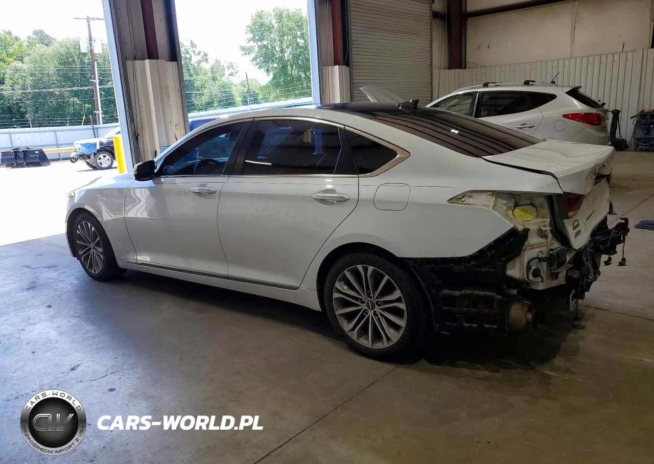 2015 Hyundai Genesis 3.8L VIN:KMHGN4JE4FU041746 - 2