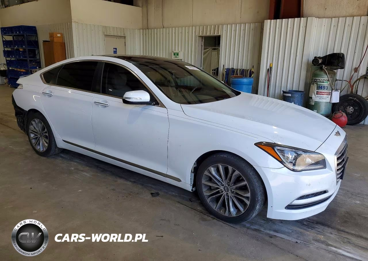 2015 Hyundai Genesis 3.8L VIN:KMHGN4JE4FU041746 - 4