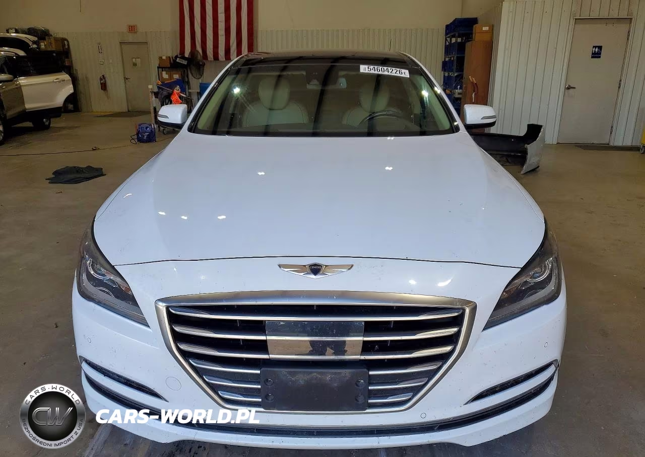 2015 Hyundai Genesis 3.8L VIN:KMHGN4JE4FU041746 - 5