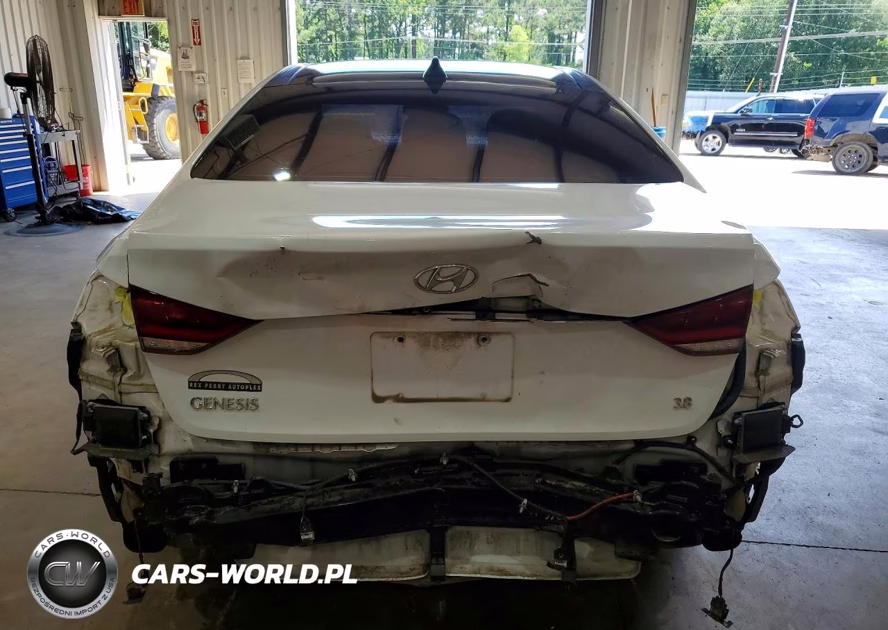 2015 Hyundai Genesis 3.8L VIN:KMHGN4JE4FU041746 - 6