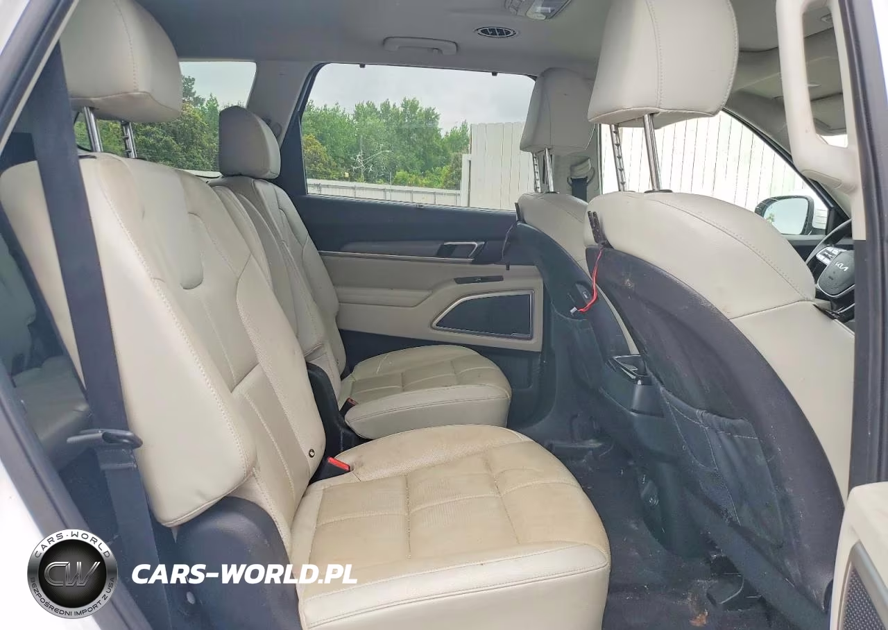 2022 Kia Telluride Ex VIN:5XYP34HCXNG234921 - 11