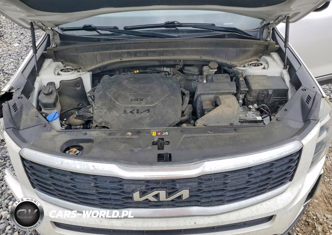 2022 Kia Telluride Ex VIN:5XYP34HCXNG234921 - 12