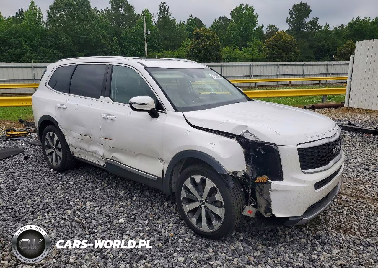 2022 Kia Telluride Ex VIN:5XYP34HCXNG234921 - 4