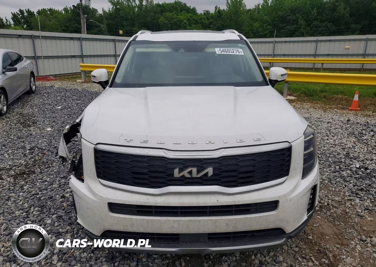 2022 Kia Telluride Ex VIN:5XYP34HCXNG234921 - 5