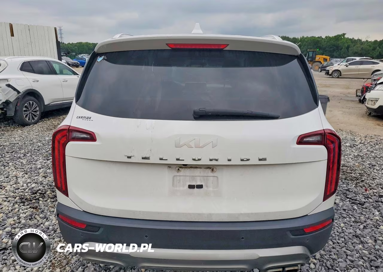 2022 Kia Telluride Ex VIN:5XYP34HCXNG234921 - 6
