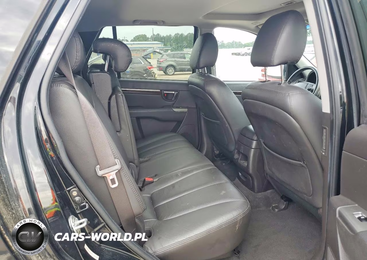 2010 Hyundai Santa Fe Limited VIN:5NMSK3AB4AH393006 - 10