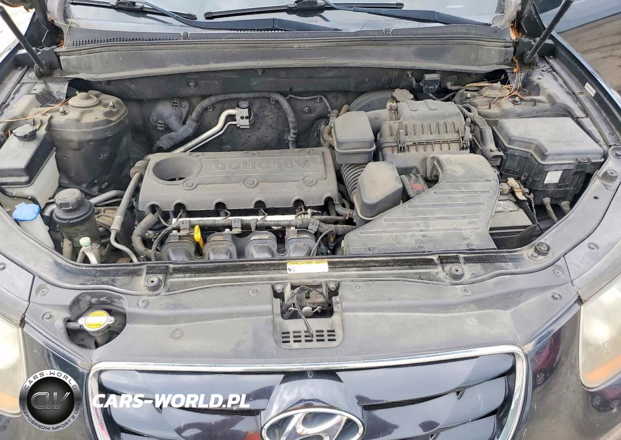 2010 Hyundai Santa Fe Limited VIN:5NMSK3AB4AH393006 - 11