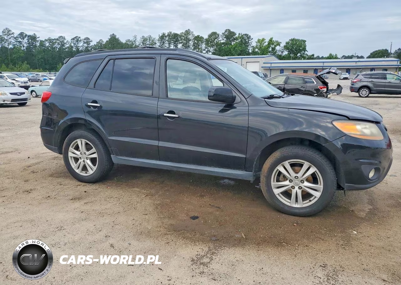 2010 Hyundai Santa Fe Limited VIN:5NMSK3AB4AH393006 - 4