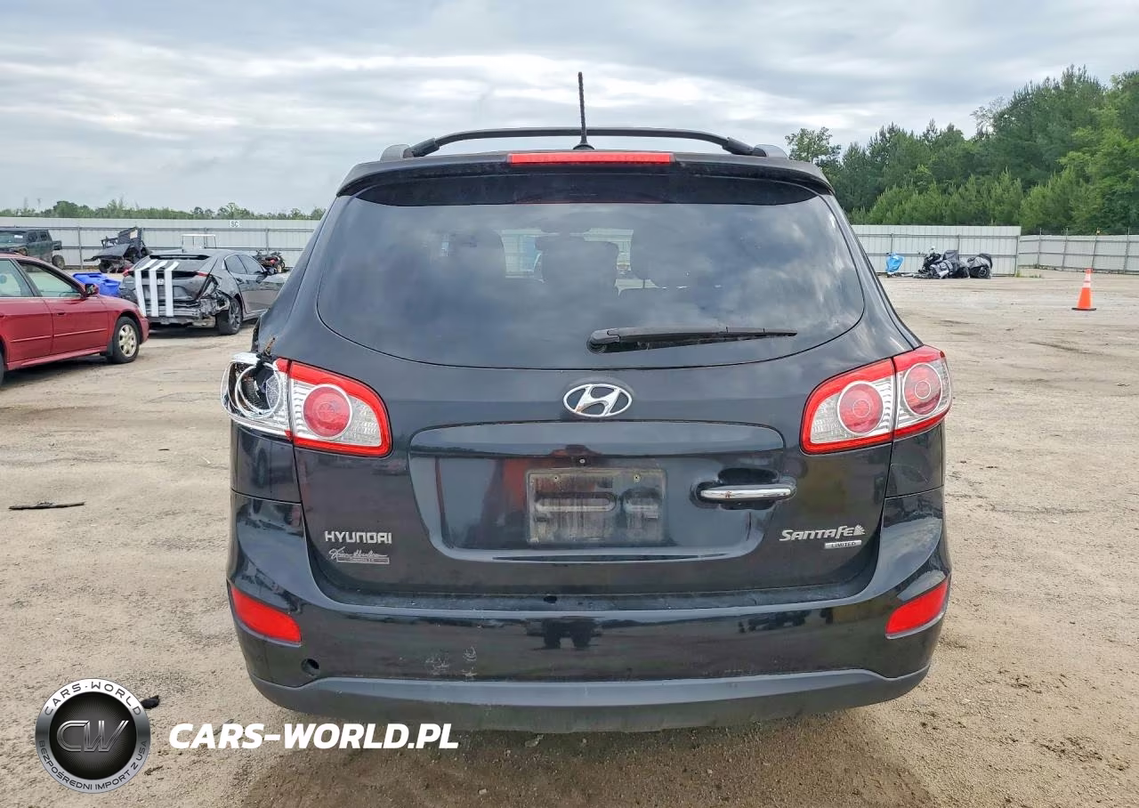 2010 Hyundai Santa Fe Limited VIN:5NMSK3AB4AH393006 - 6