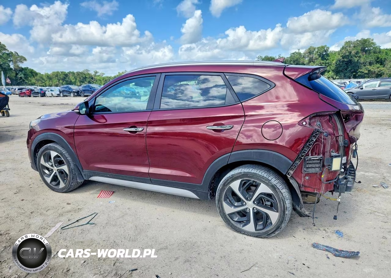 2018 Hyundai Tucson Limited VIN:KM8J3CA21JU645811 - 2