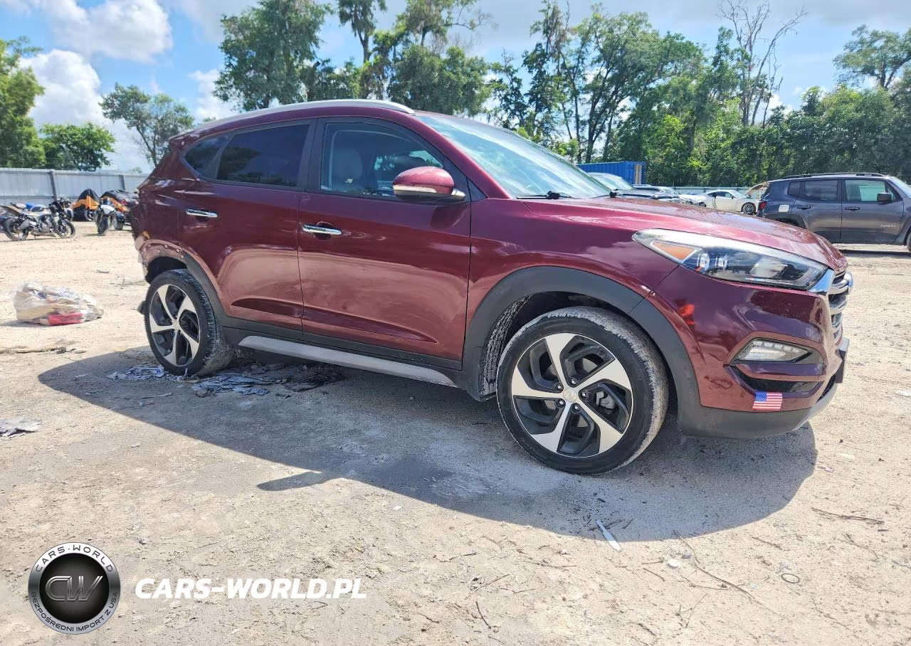 2018 Hyundai Tucson Limited VIN:KM8J3CA21JU645811 - 4