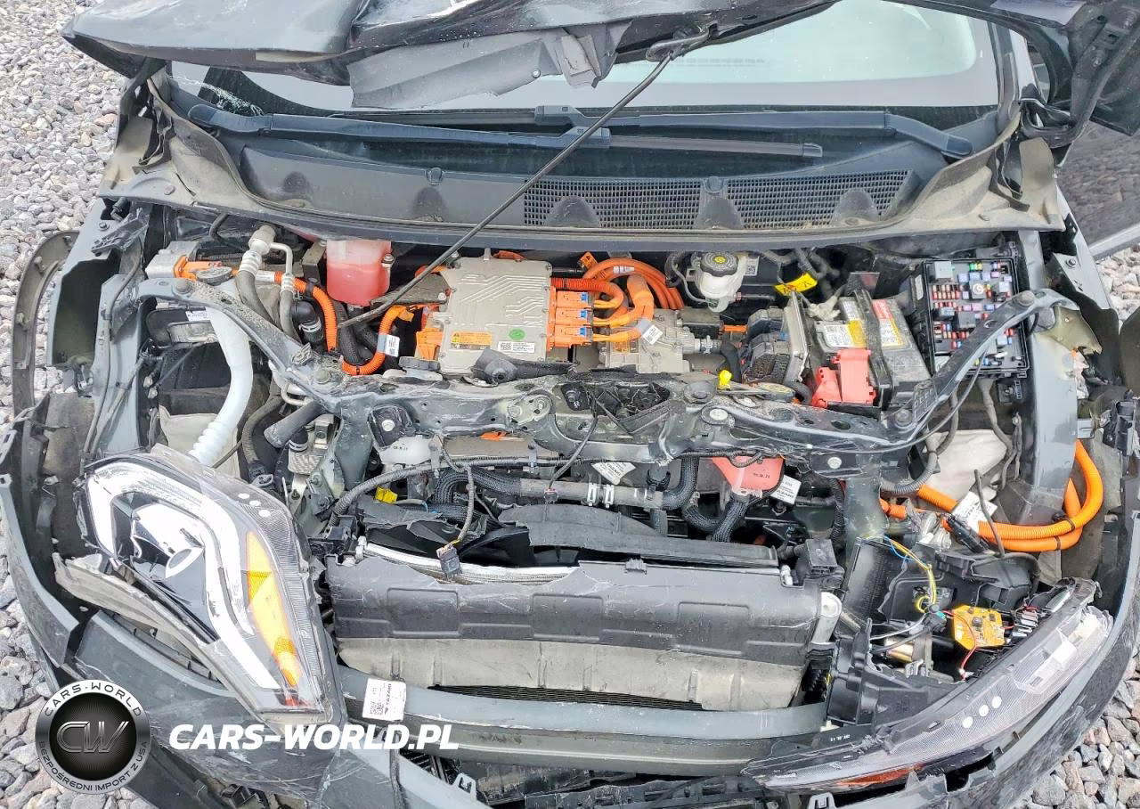 2017 Chevrolet Bolt Ev Lt VIN:1G1FW6S0XH4190699 - 11