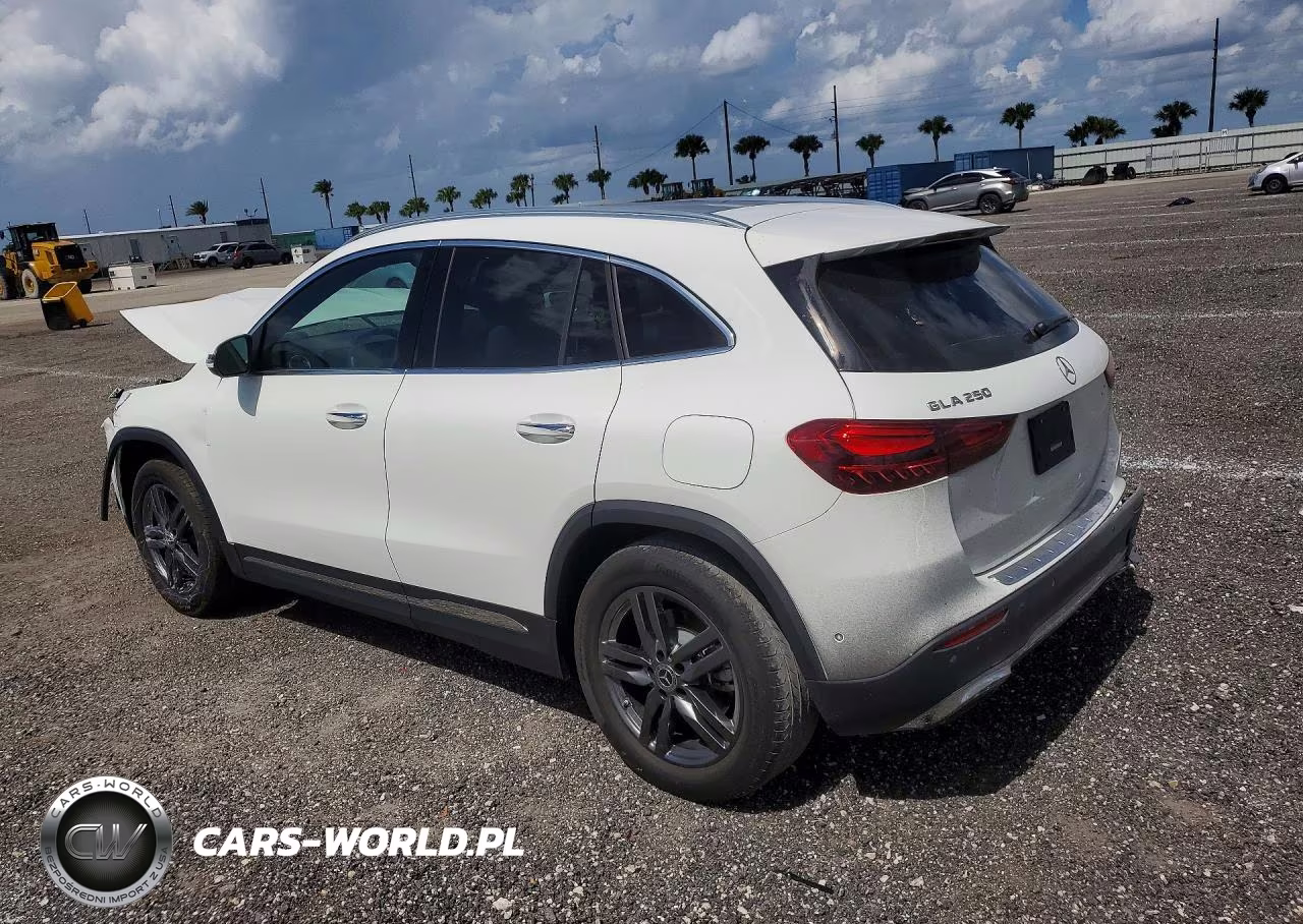 2024 Mercedes-Benz Gla 250 VIN:W1N4N4GBXRJ616676 - 2