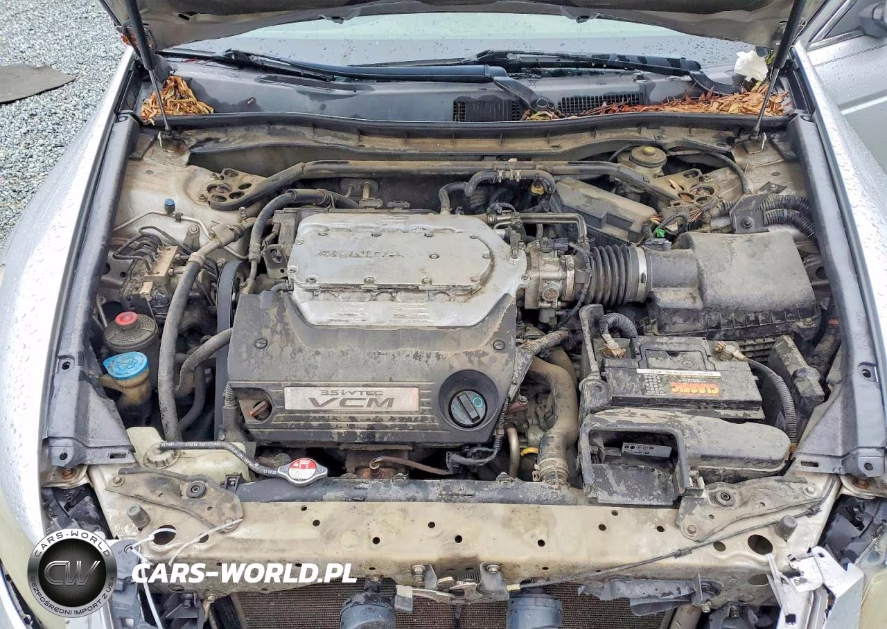 2009 Honda Accord Exl VIN:1HGCP36869A027560 - 11
