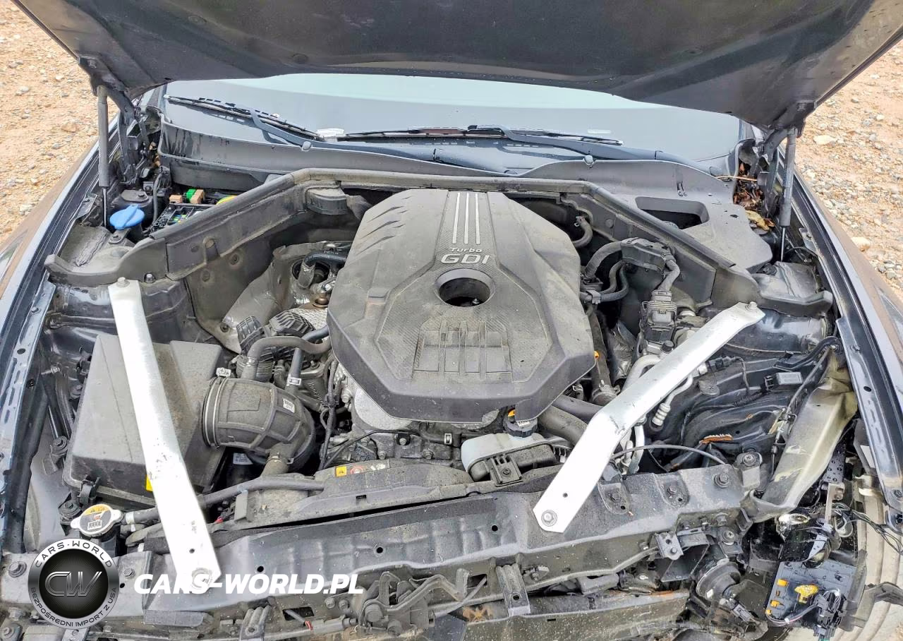 2019 Kia Stinger Premium VIN:KNAE25LA5K6053839 - 11