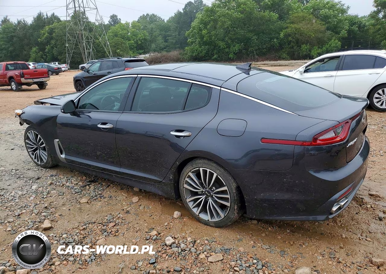 2019 Kia Stinger Premium VIN:KNAE25LA5K6053839 - 2