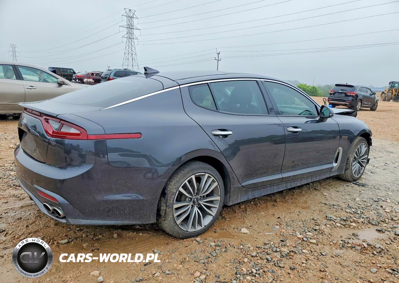 2019 Kia Stinger Premium VIN:KNAE25LA5K6053839 - 3