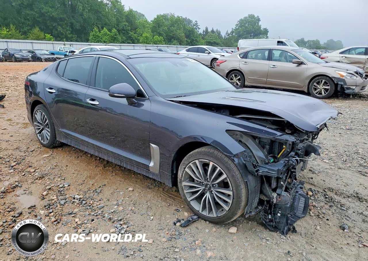 2019 Kia Stinger Premium VIN:KNAE25LA5K6053839 - 4