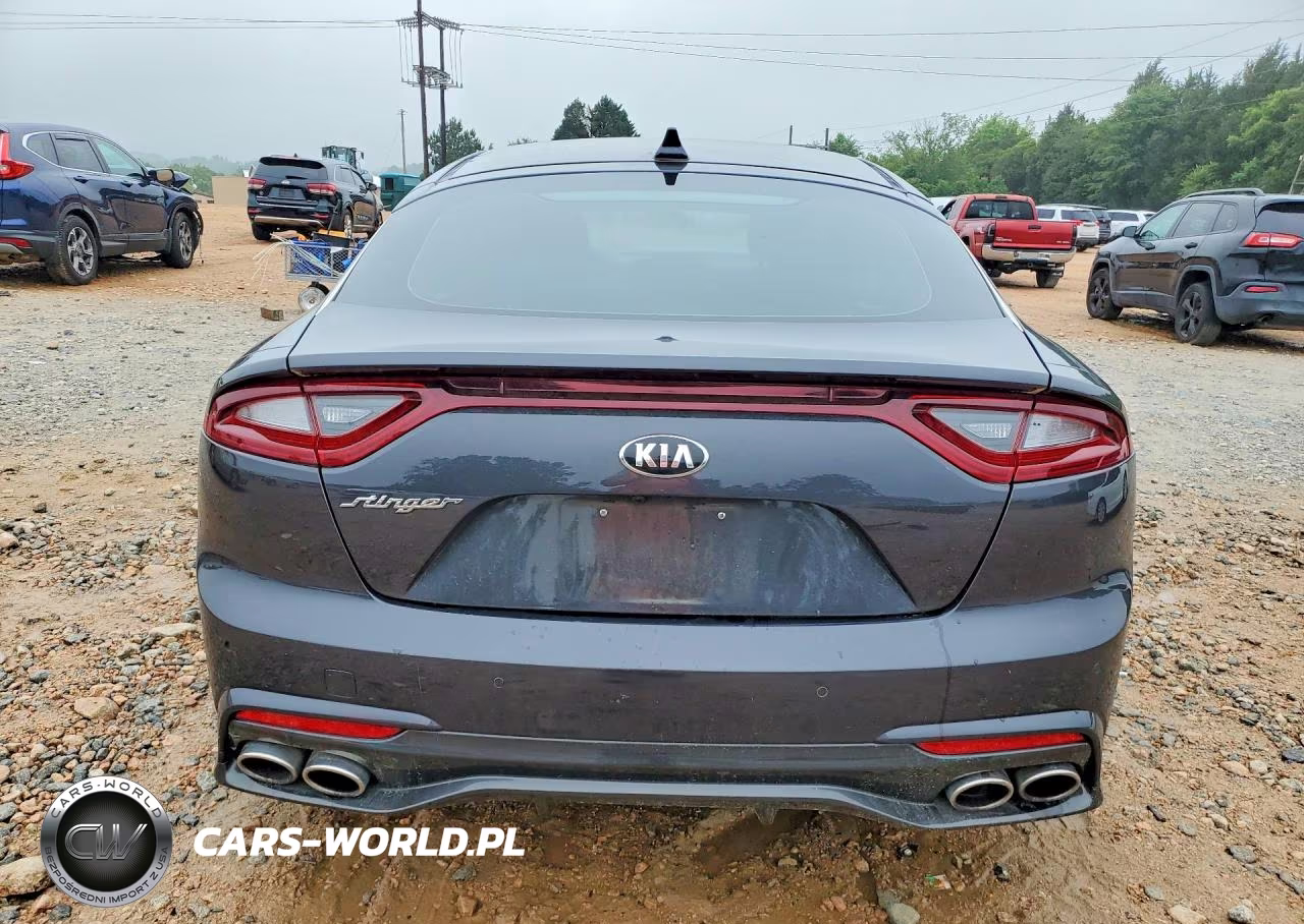 2019 Kia Stinger Premium VIN:KNAE25LA5K6053839 - 6