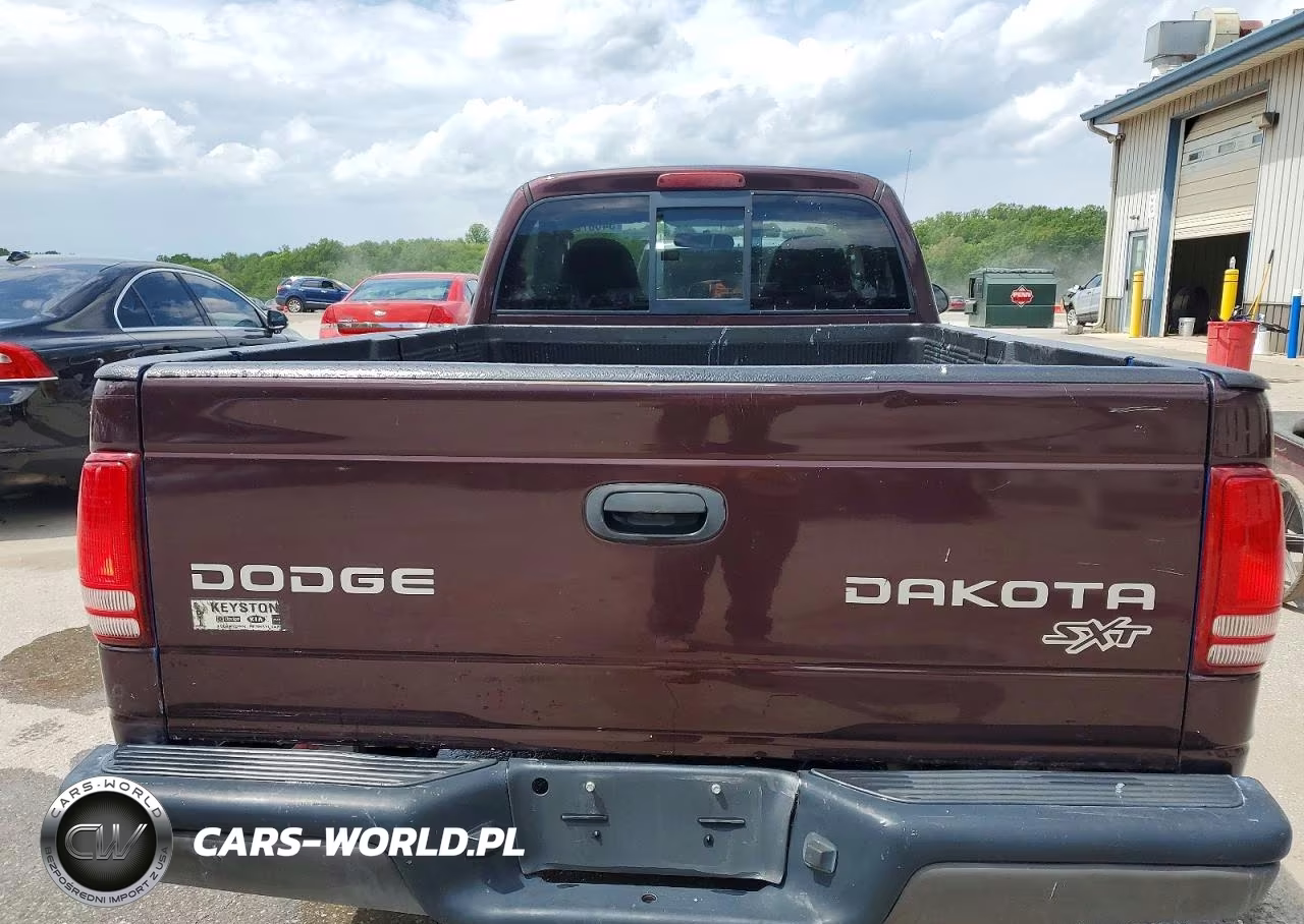 2004 Dodge Dakota Sxt VIN:1D7FL16K94S593339 - 10