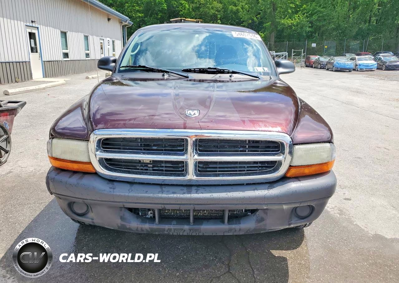 2004 Dodge Dakota Sxt VIN:1D7FL16K94S593339 - 5
