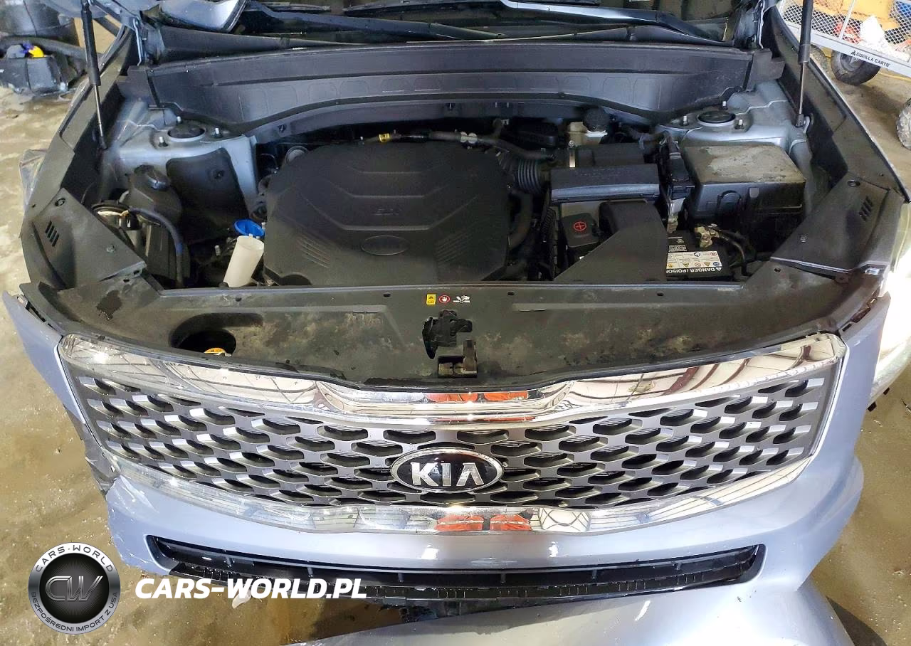 2020 Kia Telluride Lx VIN:5XYP2DHC2LG049701 - 12