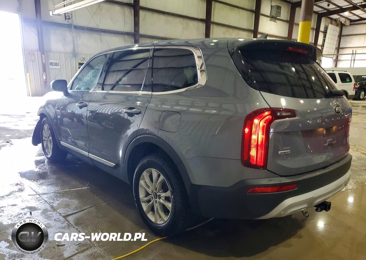 2020 Kia Telluride Lx VIN:5XYP2DHC2LG049701 - 2