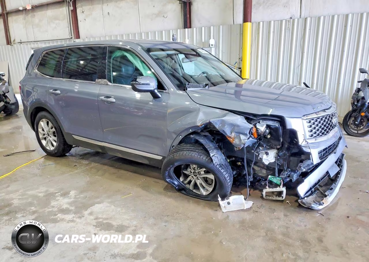 2020 Kia Telluride Lx VIN:5XYP2DHC2LG049701 - 4