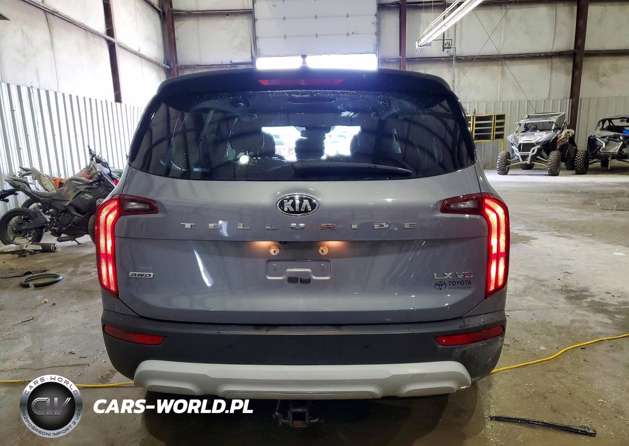 2020 Kia Telluride Lx VIN:5XYP2DHC2LG049701 - 6