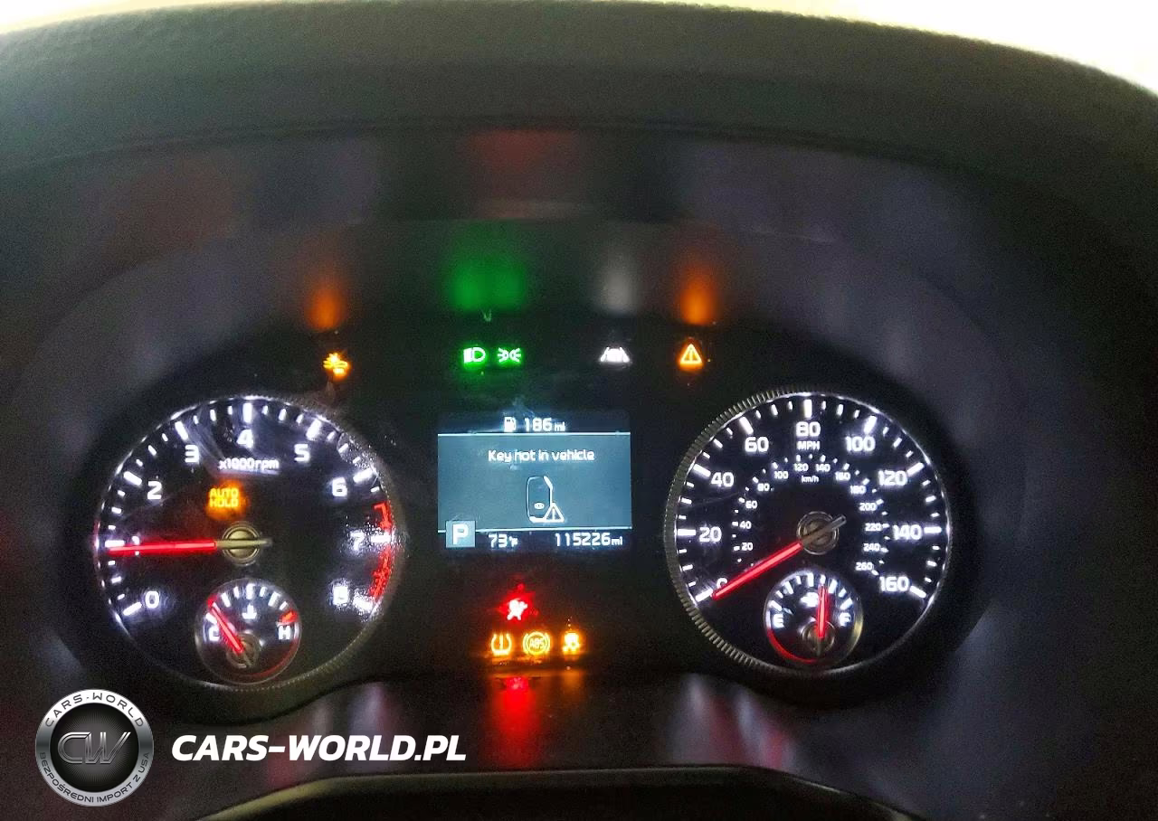 2020 Kia Telluride Lx VIN:5XYP2DHC2LG049701 - 9
