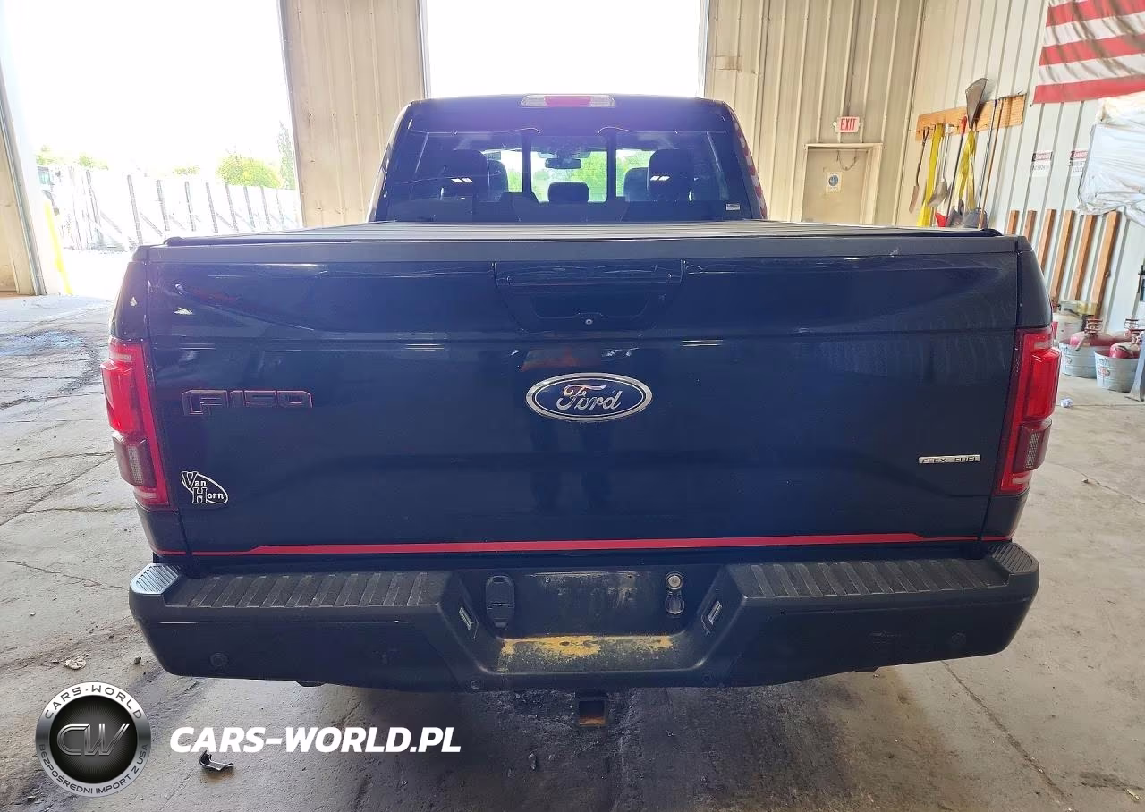 2016 Ford F150 Supercrew VIN:1FTFW1EF4GFC33169 - 6