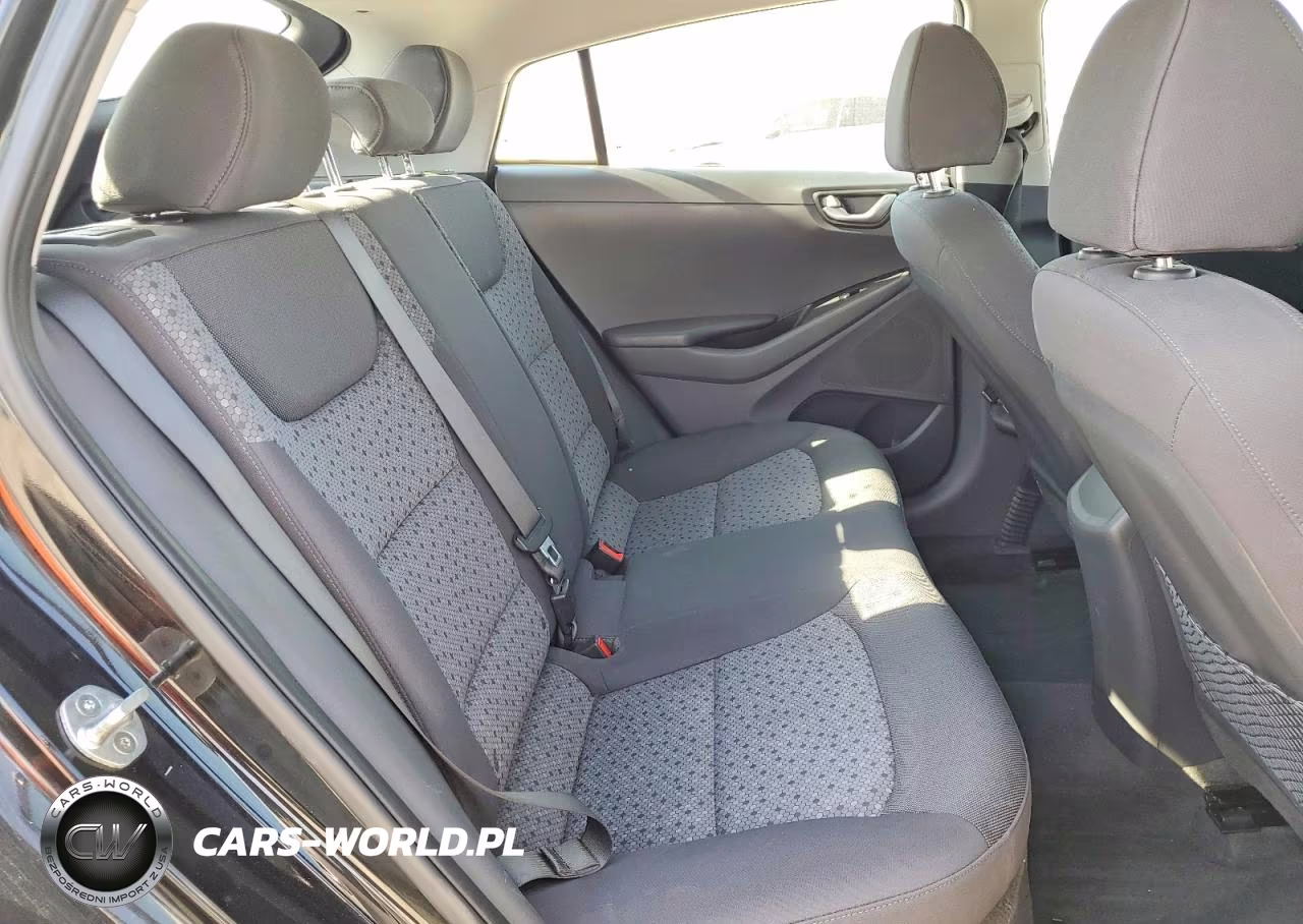 2017 Hyundai Ioniq Blue VIN:KMHC65LC5HU035986 - 10