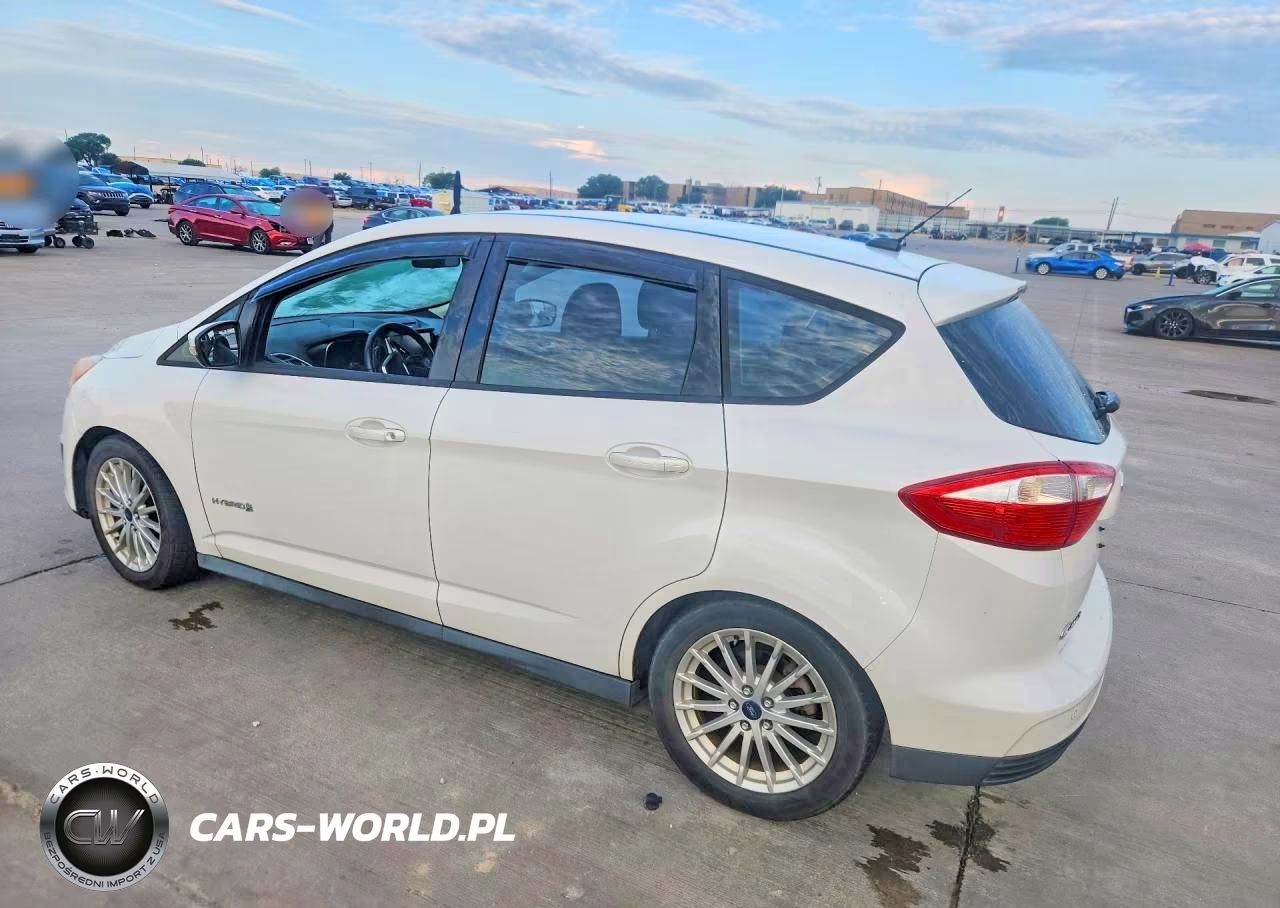 2013 Ford C-Max Se VIN:1FADP5AU9DL542817 - 2