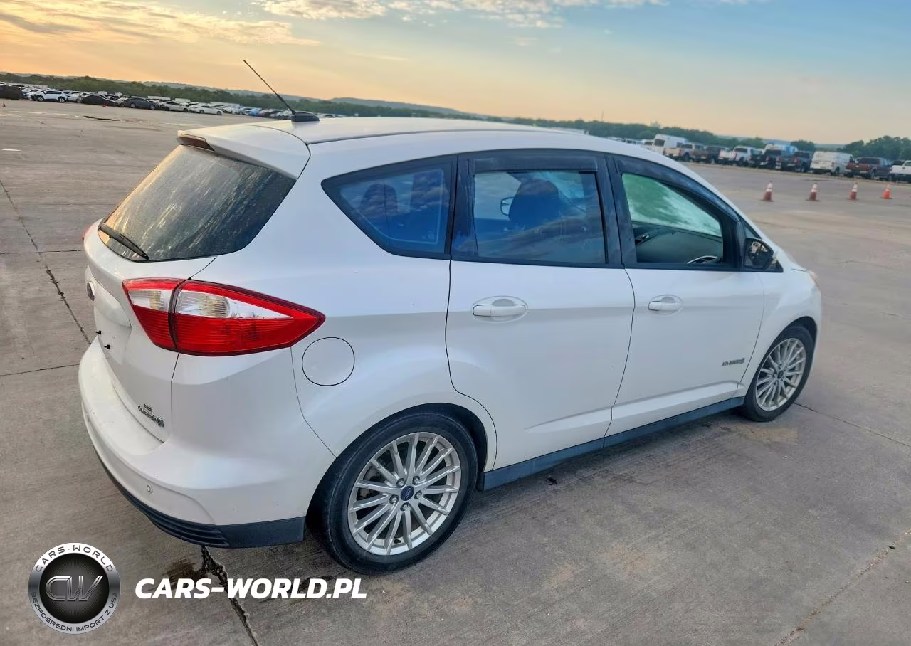 2013 Ford C-Max Se VIN:1FADP5AU9DL542817 - 3