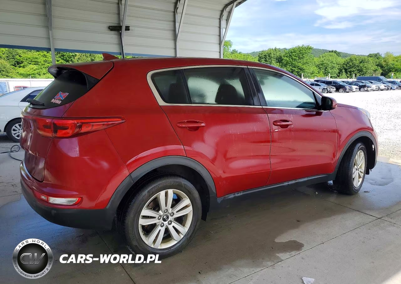 2019 Kia Sportage Lx VIN:KNDPM3AC1K7594363 - 3