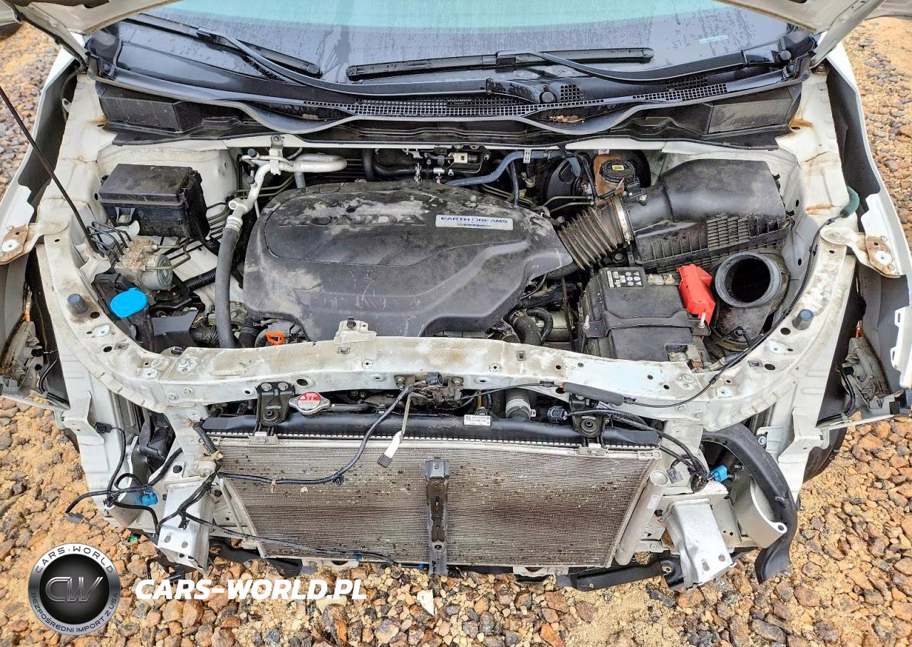 2019 Honda Odyssey Exl VIN:5FNRL6H74KB001630 - 12