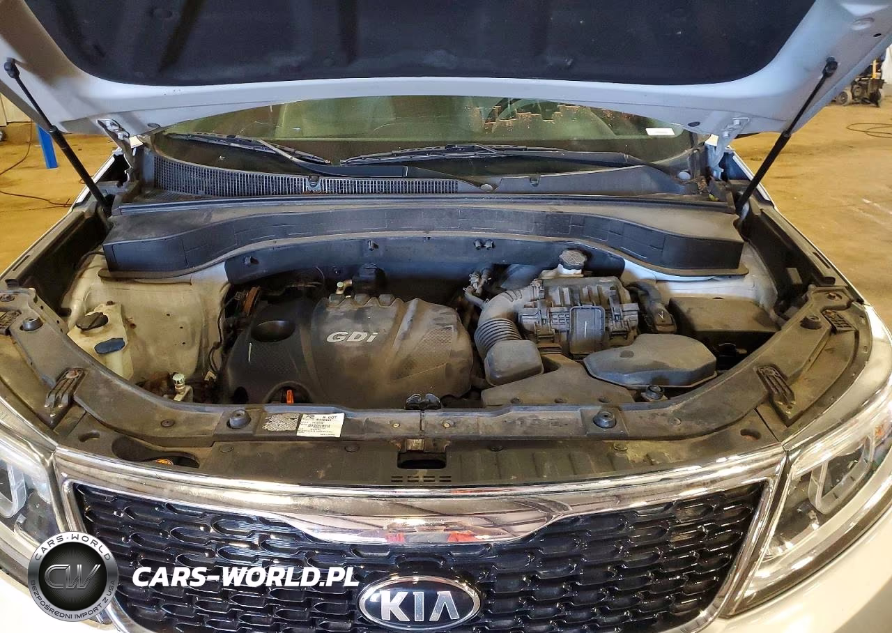 2014 Kia Sorento Lx VIN:5XYKT3A62EG484243 - 12