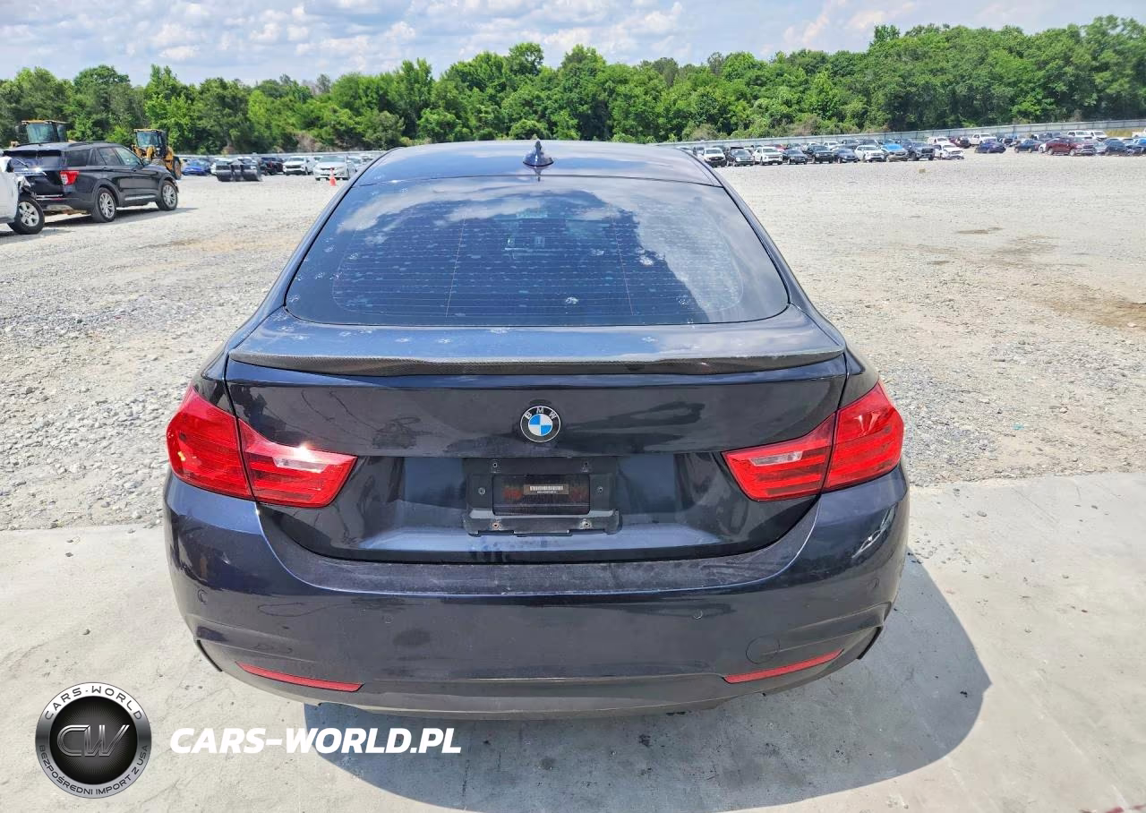 2015 BMW 428 I Gran Coupe Sulev VIN:WBA4A9C52FGL86119 - 6