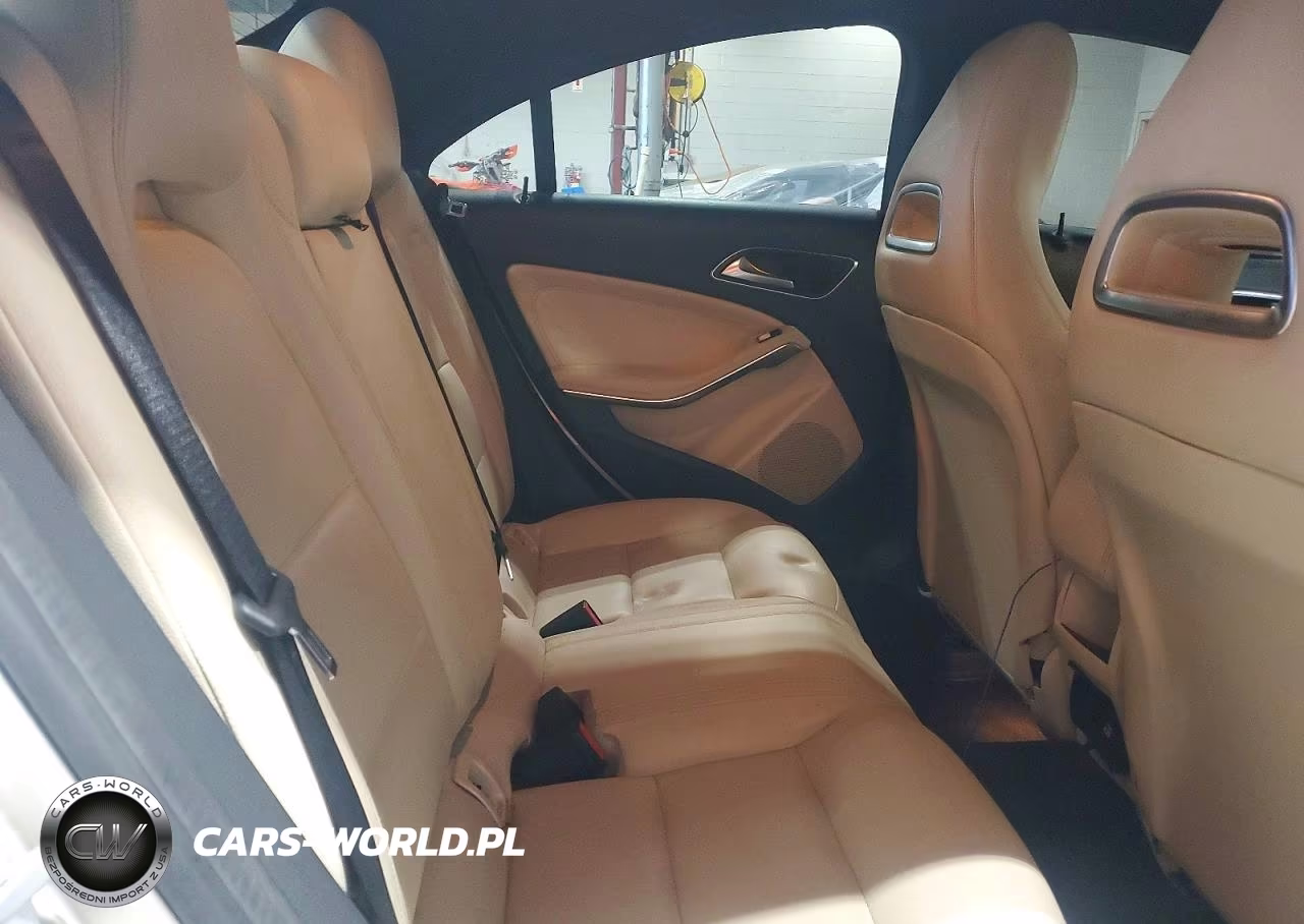 2014 Mercedes-Benz Cla 250 VIN:WDDSJ4EB2EN044072 - 10