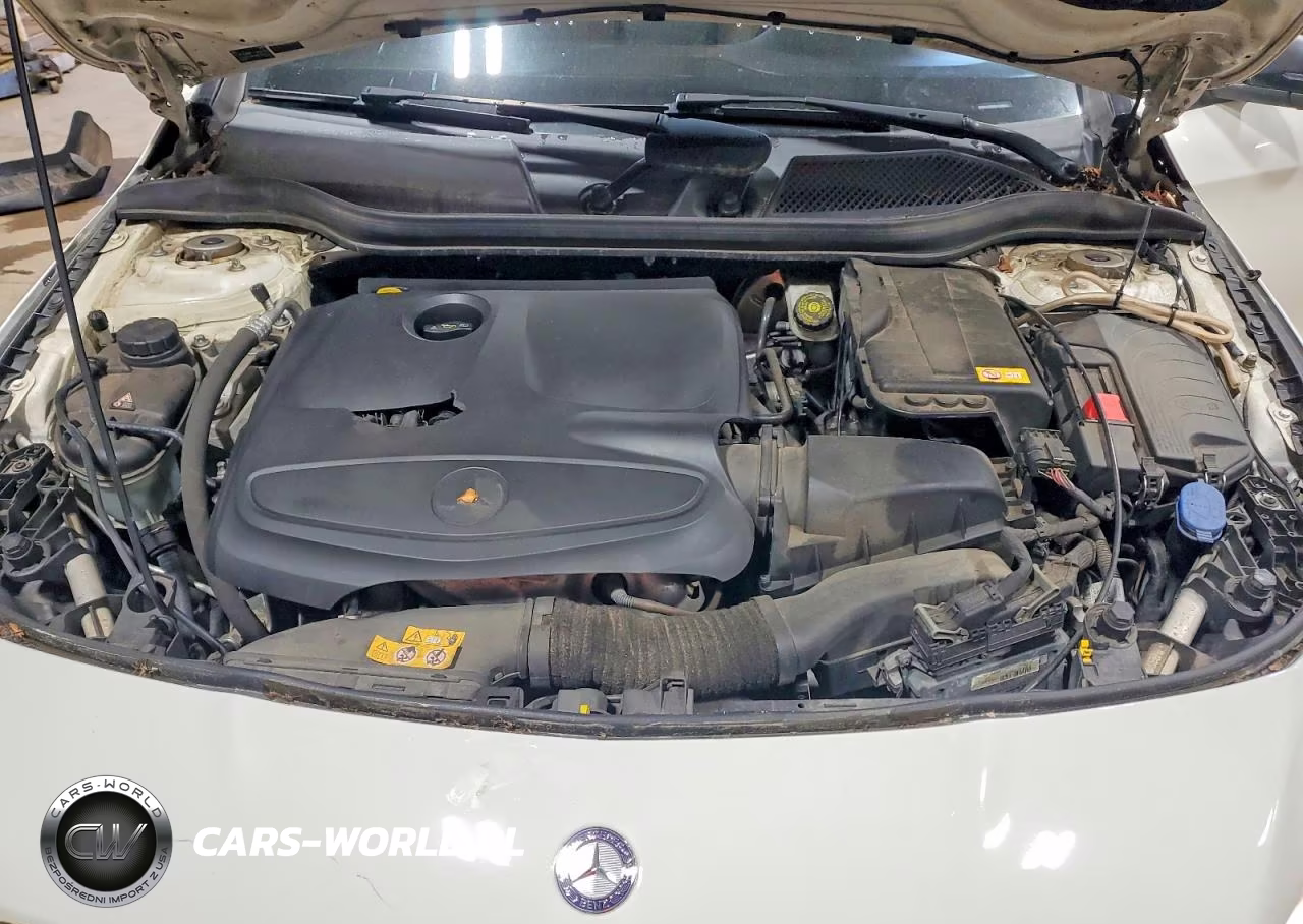 2014 Mercedes-Benz Cla 250 VIN:WDDSJ4EB2EN044072 - 11