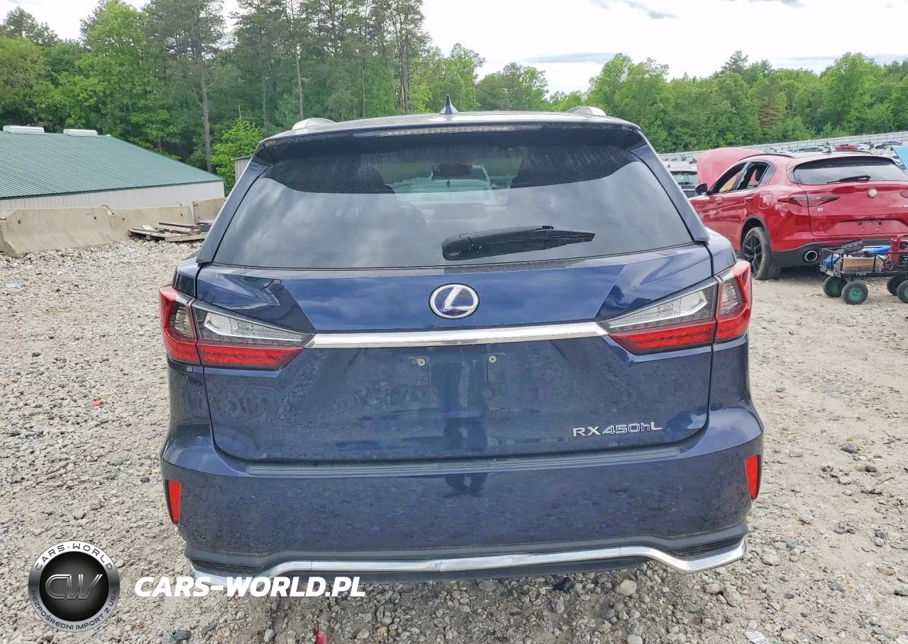 2018 Lexus Rx 450Hl Base VIN:JTJDGKCA0J2005456 - 6
