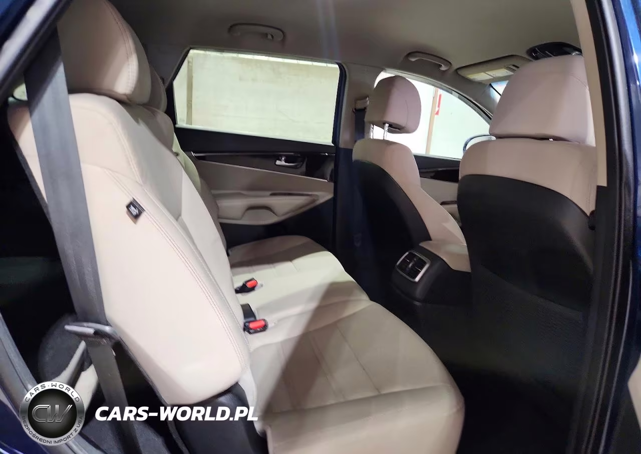 2017 Kia Sorento Lx V6 VIN:5XYPGDA5XHG316507 - 11