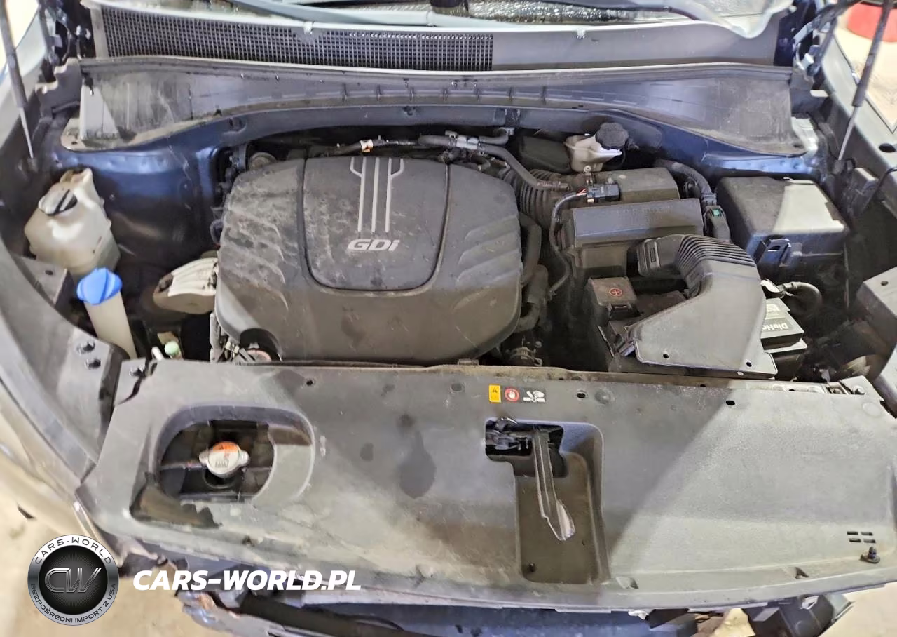 2017 Kia Sorento Lx V6 VIN:5XYPGDA5XHG316507 - 12