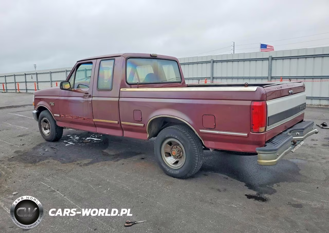 1993 Ford F150 VIN:1FTEX15N3PKA89847 - 2
